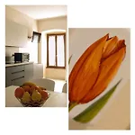 شقة Flower