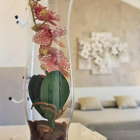 Flower * Бардолино