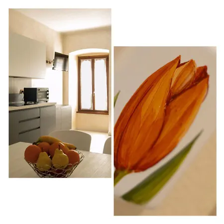 Апартаменты Flower