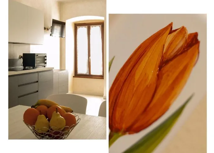 Apartamento Flower